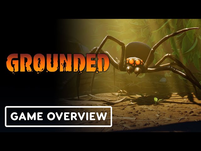 Video - Grounded (PC)