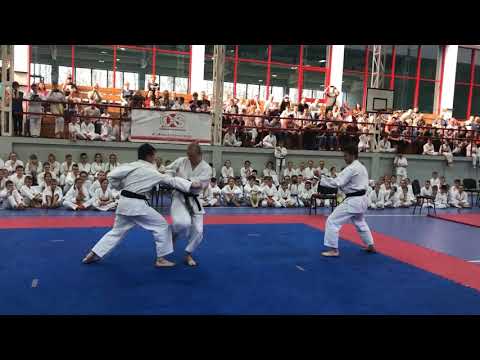 Pokazy karate podczas finałów XXIV Międzynarodowego Pucharu Karate W.S.I.Poland - Wałcz 2019
