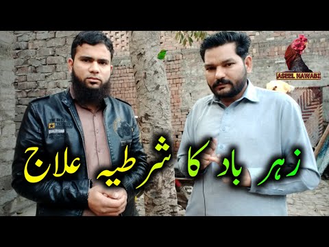 Treatment of Zeharbad