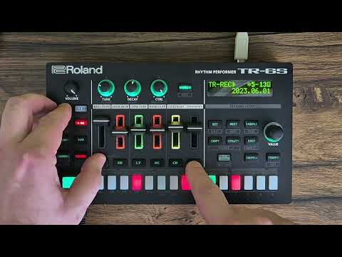 Roland TR-6S - perfect drum machine for minimal