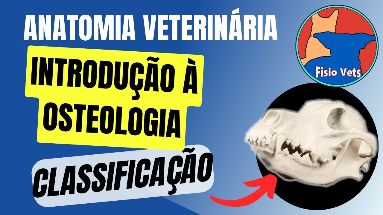 Osteologia Veterinária - Introdução