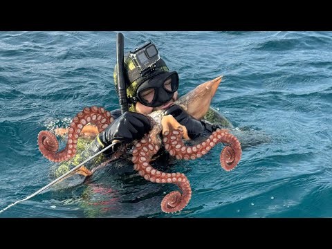 How to Catch Octopuses - Winter Hunt