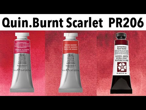 Quinacridone Burnt Scarlet PR206 Comparison - Daniel Smith, Winsor & Newton