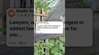 Download lagu A Martian! 👽 #reddit mp3 Download lagu A Martian! 👽 #reddit mp3