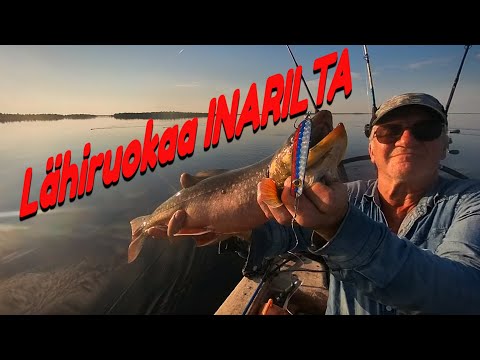 Lähiruokaa INARILTA