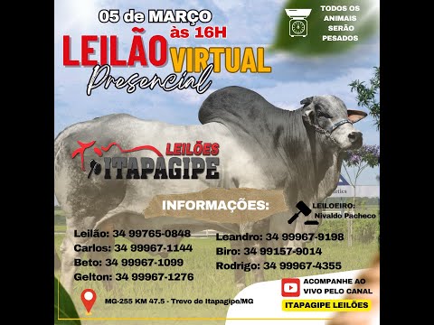 LEILÃO VIRTUAL  - ITAPAGIPE LEILÕES  05/03/2024 - ITAPAGIPE-MG.