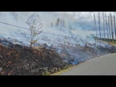 Flächenbrand Morsbach-Ellingen - August 2022