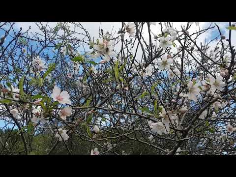 а у нас начинается весна . рановато