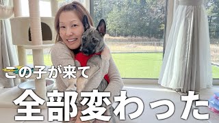 【年の差夫婦】保護犬が来て、暮らしも気持ちも変わりました