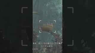 初めての緋の森で衝撃体験　#shorts #monsterhunter
