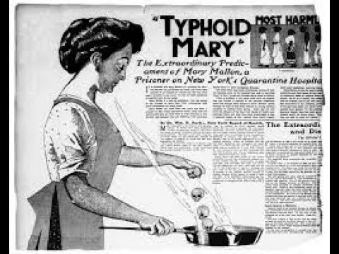 The True Story of Typhoid Mary...Examining a Trail of Death & Deceit