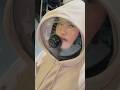 Funny Plus Creative Skill P27 Shorts Funnyfails Funny Lucu Ngakak Fail Aksigagal Viral
