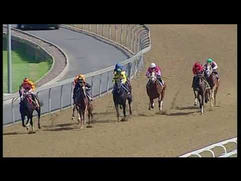 20180320 Greyville Express Clip Race  2 won by PHOENIX SUN