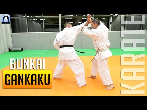 Bunkai Gankaku / Chinto - KARATE 🥋 | Lionel Froidure