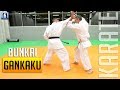 Bunkai Gankaku Chinto KARATE Lionel Froidure