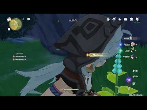 Video preview