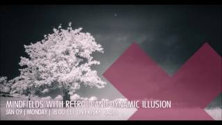 Dynamic Illusion @ Mindfields | 2017-01 January | [Frisky Radio]
