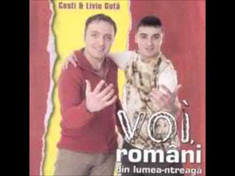 COSTI IONITA & LIVIU GUTA - FRATE