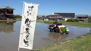 5月30日【びわ湖放送ニュース】滋賀県野洲市の発祥の地で「篠原糯」の栽培が復活