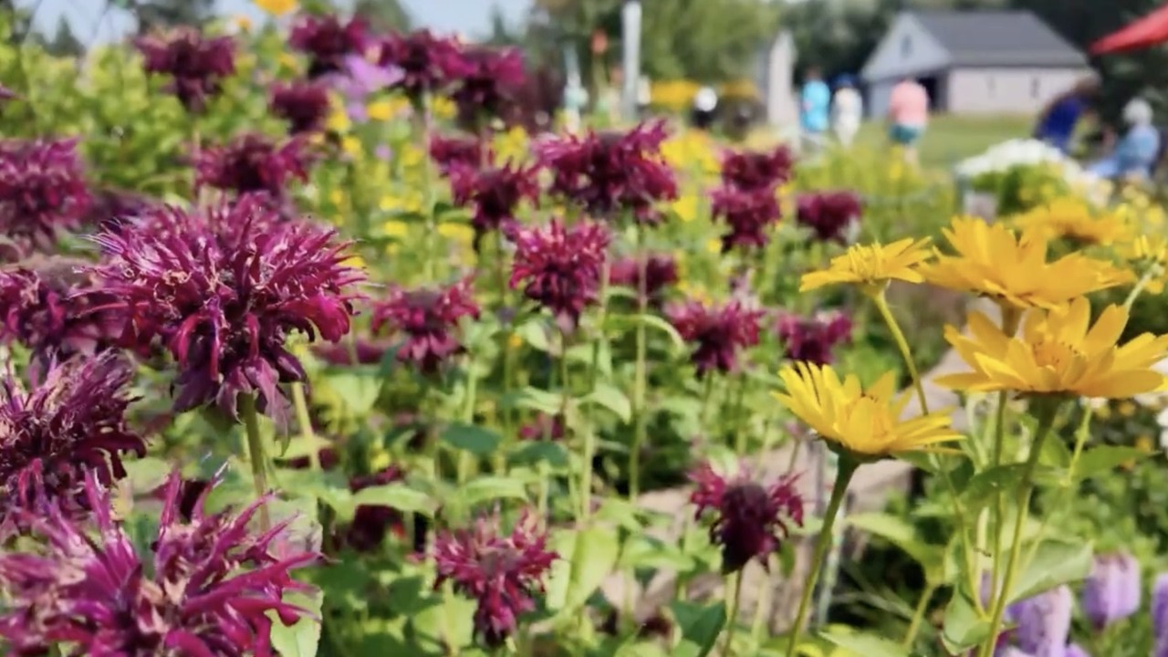 Victory Gardens & Spring Prep: Expert Gardening Tips for Northern Minnesota | Great Gardening