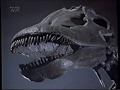 Øjenvidne I Naturens Galleri Dinosaurer