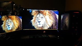 Video thumbnail for Philips 436M6VBPAB Momentum 43" Monitor HDR 1000 by Bang4BuckPC Gamer