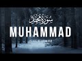 Surah Muhammad سورة محمد TRANQUILITY