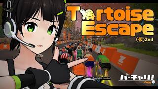【Zwift】うさぎと亀 on Road【ロードレース】