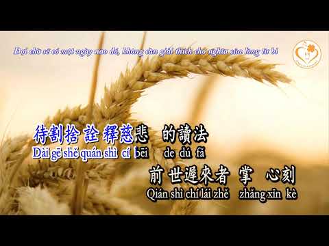 Mix - [Karaoke] Mang Chủng - Âm Khuyết Thi Thính ft. Triệu Phương Tịnh | 芒種 - 音闕詩聽 ft. 趙方婧