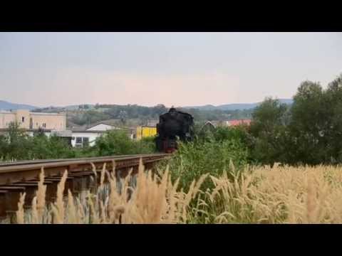 Mocanița Brad - Crișcior, august 2015