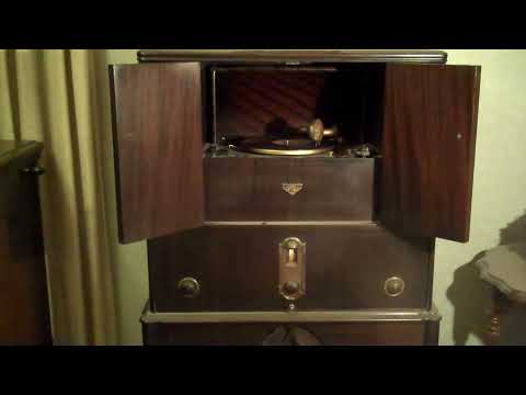 HARRY RESER'S SYNCOPATORS - UNDERNEATH A SUNNY SKY - ROARING 20's VICTROLA RADIOLA 7-11