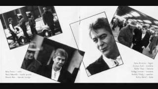 Cseh Tamás: Pénzügyesek