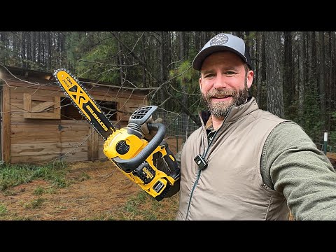 Can a battery powered CHAINSAW cut anything? (DeWalt 20V Max)