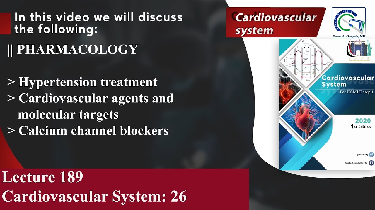 Hypertension treatment | Cardiovascular agents and molecular targets | Calcium channel blockers
