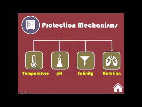 Biotechnology Part 1 علم التقنية الحيوية البيوتكنولوجي الجزء الأول Introduction History