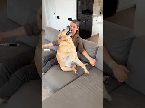 А когти стричь боится🙈