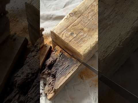 From rotten #driftwood to interior designs dream #plinth ￼🪓🪵 #wood #salvage #diy