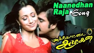 Pudukkottai Azhagan Songs | Naanedhan Raja Raja Video Song | Nagarjuna | Trisha songs | DSP hits