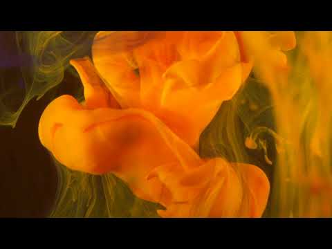 YoSoyMatt - Jungle Setlist (2023)