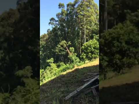 Terreno, 332,40m², à venda em Morro Reuter Próximo à divisa com Dois Irmãos