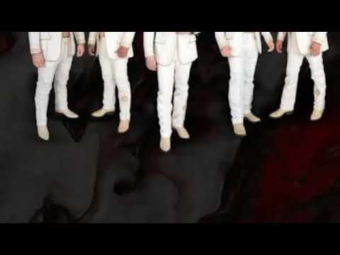 Ranchero Y Medio - Los Tucanes De  Tijuana