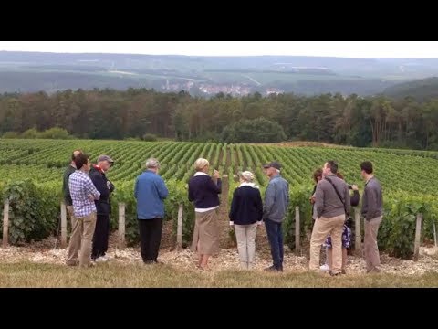 Private Champagne Tasting at the Maison Alexandre Bonnet in Les Riceys