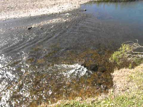 Barrancas LAVALLEJA 23/10/2010