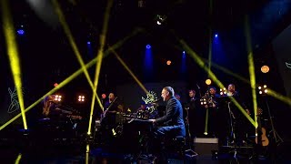 David Gray Performs &#39;The Sapling&#39; | The Ray D&#39;Arcy Show | RTÉ One