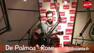 LIVE - Gérald de Palmas "Rose"