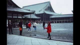 Rose McDowall "Cut With The Cake Knife" Slideshow (Official Audio)