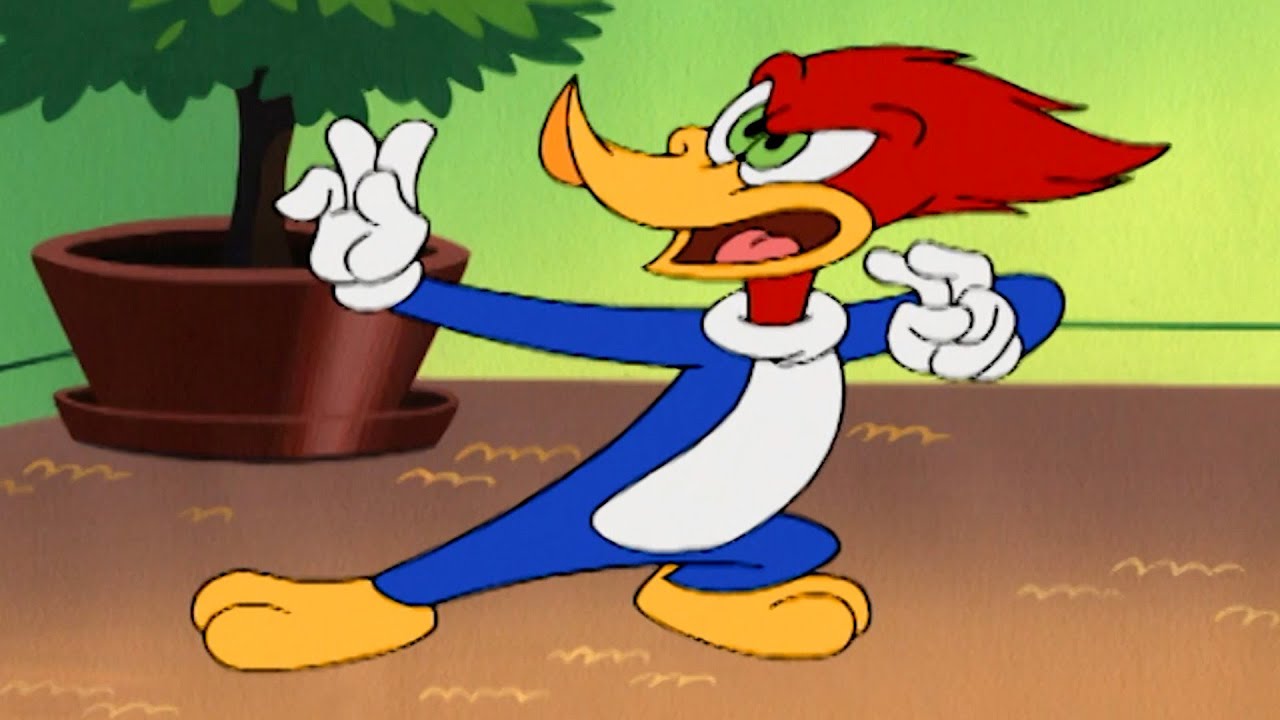 Pica-Pau é um Mestre de Karatê | Pica-Pau em Português