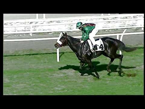 Galoppo 07/12/2020 - 1ª corsa