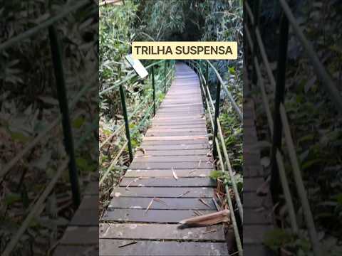 Trilha suspensa em Teresópolis-RJ #trilha #viagem #teresopolis #turismo #nature