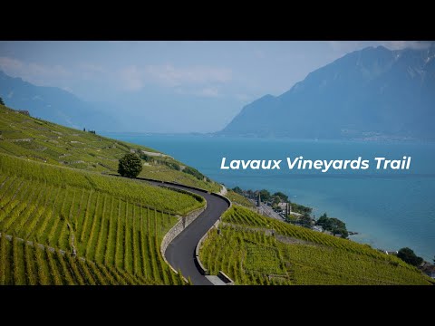 [ALTO-WAM] SWISS Ep.1 Lavaux Vineyards Walk